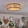 Antillo ceiling light matt nickel, 3-light sources