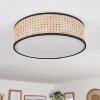 Antillo ceiling light matt nickel, 3-light sources