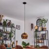 Alven hanging light, pendant light black, 1-light source