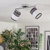 Lundegaard ceiling light, ceiling spotlight chrome, 2-light sources