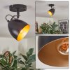 Bjedstrup ceiling light, ceiling spotlight, wall spotlight black, 1-light source