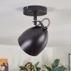 Bjedstrup ceiling light, ceiling spotlight, wall spotlight black, 1-light source