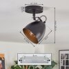 Bjedstrup ceiling light, ceiling spotlight, wall spotlight black, 1-light source