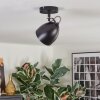 Bjedstrup ceiling light, ceiling spotlight, wall spotlight black, 1-light source