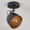 Bjedstrup ceiling light, ceiling spotlight, wall spotlight black, 1-light source