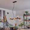 Gastor hanging light, globe light, pendant light clear, 8-light sources