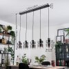 Hasvik hanging light, pendant light black, 5-light sources