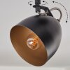 Bjedstrup ceiling light, ceiling spotlight black, 2-light sources