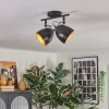 Bjedstrup ceiling light, ceiling spotlight black, 2-light sources