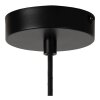 Lucide lights HANNELORE pendant light black, 1-light source