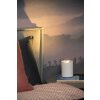 Lucide lights TUBE table lamp LED white, 1-light source