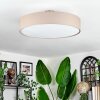 Foggia ceiling light matt nickel, 3-light sources