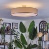 Foggia ceiling light matt nickel, 3-light sources