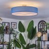 Foggia ceiling light matt nickel, 3-light sources