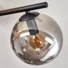 Gastor ceiling light, globe light Amber, Smoke-coloured, 4-light sources