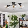 Gastor ceiling light, globe light clear, 4-light sources