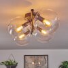 Gastor ceiling light, globe light clear, 4-light sources