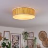 Antillo ceiling light beige, Ecru, white, 3-light sources