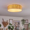 Antillo ceiling light beige, Ecru, white, 3-light sources