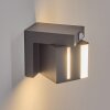 Swanek outdoor wall light, wall light LED anthracite, 1-light source, Motion sensor