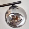 Gastor ceiling light, globe light Amber, clear, Smoke-coloured, 5-light sources