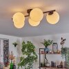 Gastor ceiling light, globe light white, 5-light sources