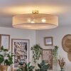 Foggia ceiling light matt nickel, 3-light sources