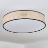 Foggia ceiling light matt nickel, 3-light sources