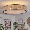 Foggia ceiling light matt nickel, 3-light sources