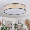 Foggia ceiling light matt nickel, 3-light sources