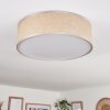 Antillo ceiling light matt nickel, 3-light sources