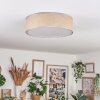 Foggia ceiling light matt nickel, 3-light sources