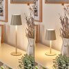 Allen Outdoor table lamp, table lamp LED grey, green, 1-light source