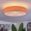 Foggia ceiling light matt nickel, 3-light sources