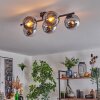 Gastor ceiling light, globe light chrome, clear, Smoke-coloured, 5-light sources