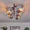 Gastor ceiling light, globe light chrome, clear, Smoke-coloured, 5-light sources