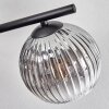 Gastor ceiling light, globe light clear, Smoke-coloured, 5-light sources