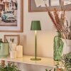 Allen Outdoor table lamp, table lamp LED green, 1-light source