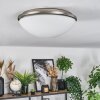 Banan ceiling light, ceiling spotlight matt nickel, 2-light sources