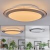 Calen ceiling light, ceiling spotlight LED white, 1-light source