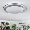 Calen ceiling light, ceiling spotlight LED white, 1-light source