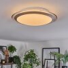 Calen ceiling light, ceiling spotlight LED white, 1-light source