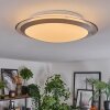 Calen ceiling light, ceiling spotlight LED white, 1-light source