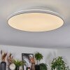 Norea ceiling light, ceiling spotlight LED white, 1-light source