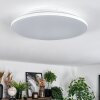 Norea ceiling light, ceiling spotlight LED white, 1-light source