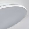 Norea ceiling light, ceiling spotlight LED white, 1-light source