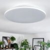 Norea ceiling light, ceiling spotlight LED white, 1-light source