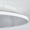 Norea ceiling light, ceiling spotlight LED white, 1-light source