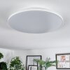 Norea ceiling light, ceiling spotlight LED white, 1-light source