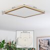 Antra ceiling light, Panel LED gold, 1-light source